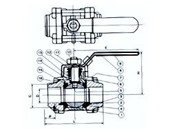 ƬʽԺQ61F